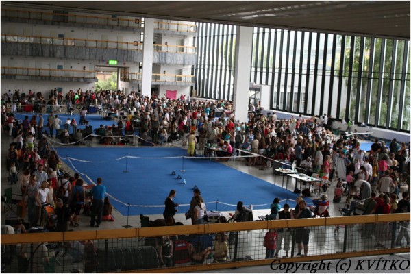 intercan09