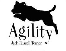 agility